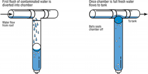 What is a First-Flush Diverter?