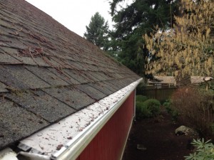 Cottage with Gutter Screen