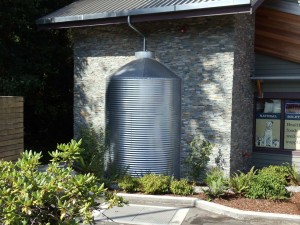 Rainwater Collection a Reliable Water Supply Alternative
