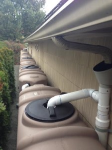 Rainwater collection barrels under gutter system.
