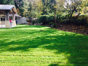 Residential Underground Rainwater Collection Tank-After