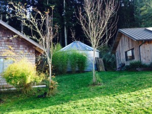 Lopez Island WA rainwater harvesting tank