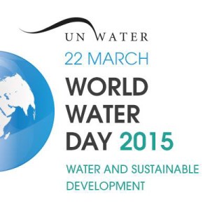 UN World Water Day logo