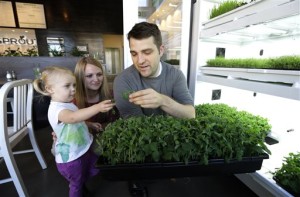 In this March 3, 2015 photo, Michael Kelly offers his daughter, Elea, 2, a taste of fresh herbs that he grows at Sprout, the restaurant he owns in Seattle's downtown Pioneer Square neighborhood, as his wife, Jenny, looks on. The Kellys live only a few blocks away, and are a part of a small but growing number of parents who are bucking the trend of moving to suburbs when they have children. (AP Photo/Ted S. Warren)