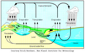 water lifecycle