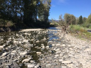 drought response