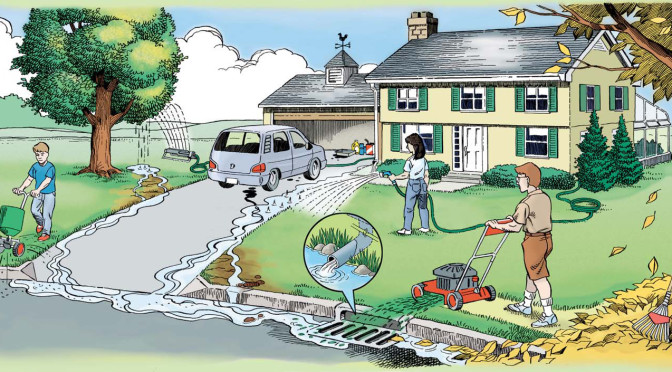 How To Reduce Stormwater Pollutants