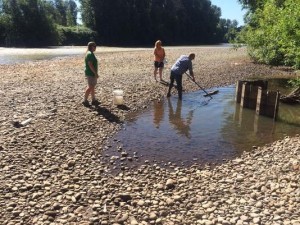 LowWaterPuyallupRiver potable