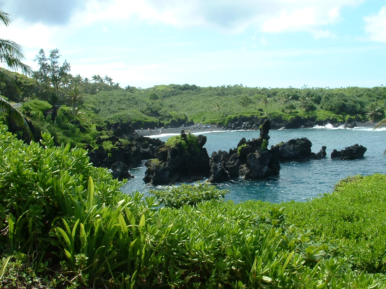 Rainwater Harvesting and Life on Maui - RainBank