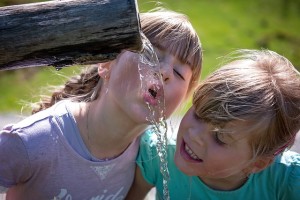 drinking water from fountain