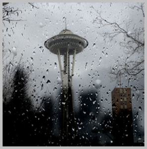 How to Save Money with Seattle Area Rainfall